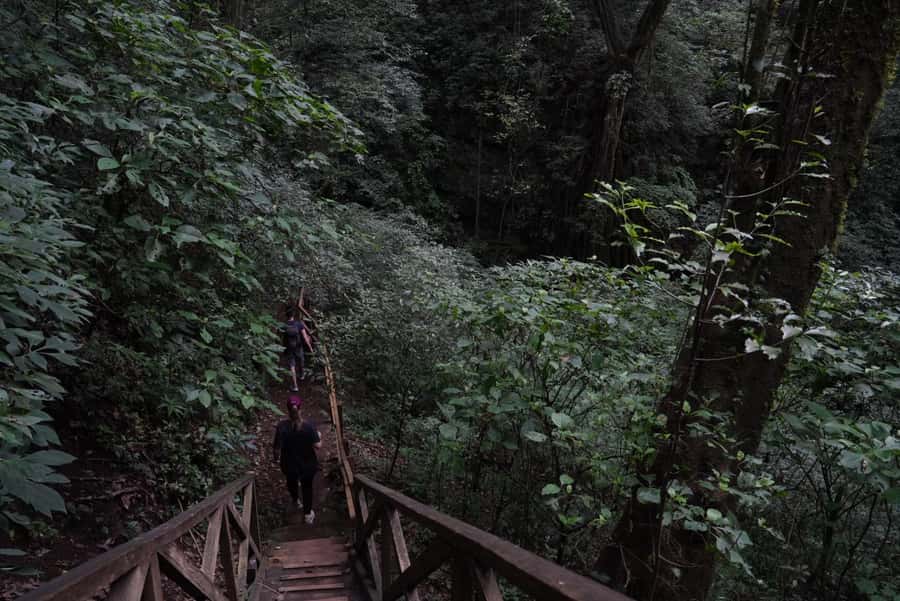 From Antigua Guatemala: Birdwatching and Scenic Hiking Tour - How the guide affects the experience