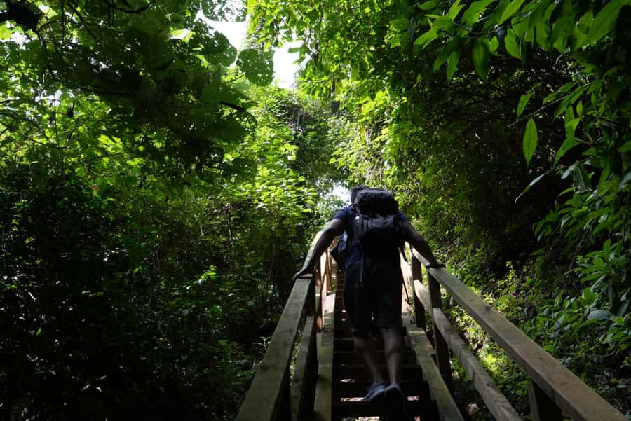 From Antigua Guatemala: Birdwatching and Scenic Hiking Tour - What to bring for the forest