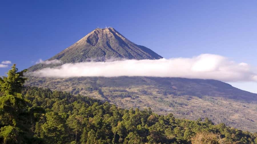 From Antigua Guatemala: Birdwatching and Scenic Hiking Tour - Starting among the feeders and lower forest trails