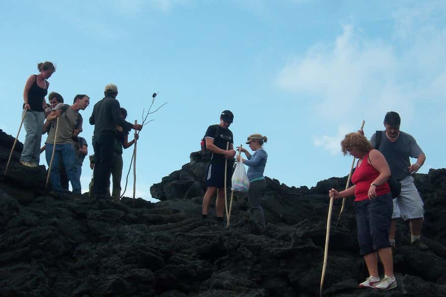 From Antigua: Pacaya Volcano Trek - Booking details worth knowing