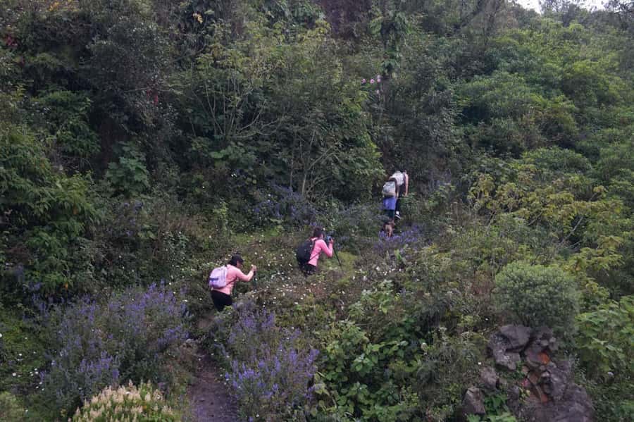 From Antigua to Pacaya Private Tour - A private Pacaya day from Antigua or Guatemala City