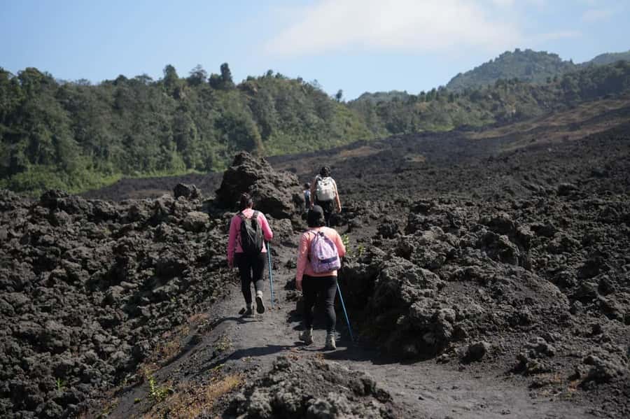 From Antigua to Pacaya Private Tour - Walking up Pacaya for three hours