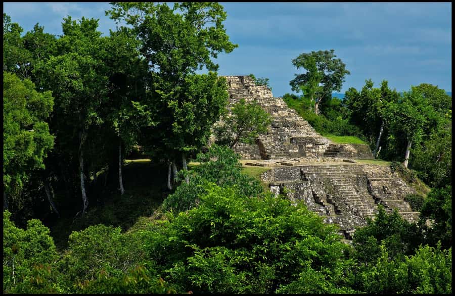 From Flores: 2-Day Tikal & Yaxhá Tour - What Tikal feels like on foot