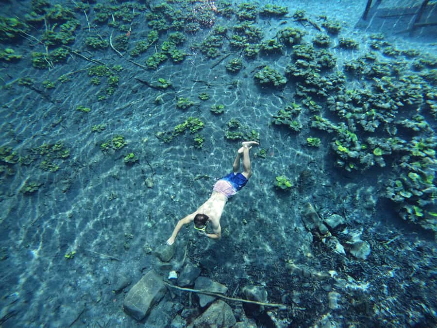 From Flores: Blue Crater Adventure All Inclusive - Safety, comfort, and the guide service