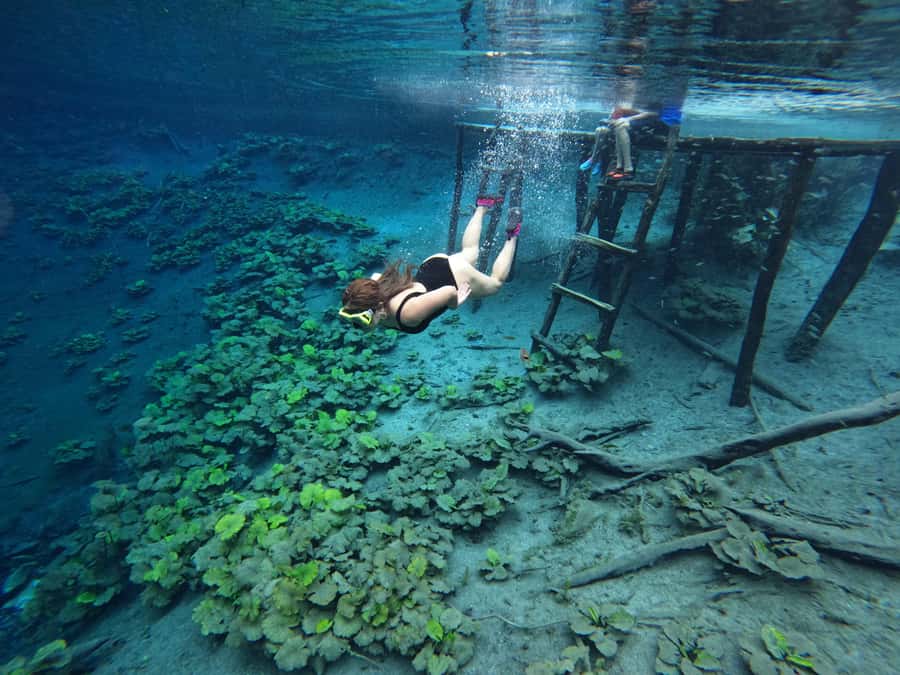 From Flores: Blue Crater Adventure All Inclusive - An 8:00 am departure from your Flores hotel