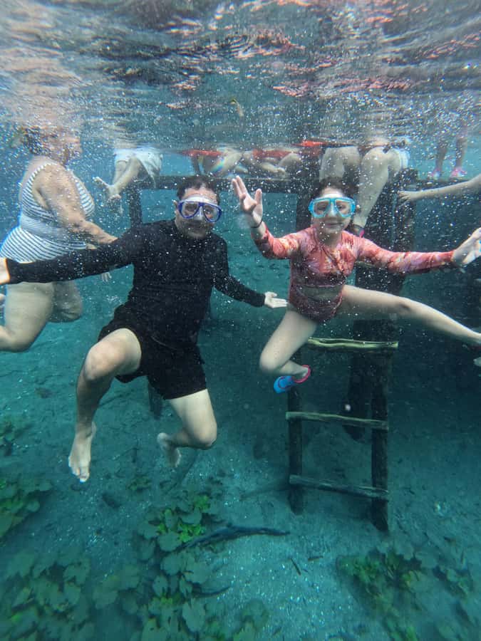 From Flores: Blue Crater private day tour - What Cráter Azul offers beyond a swim