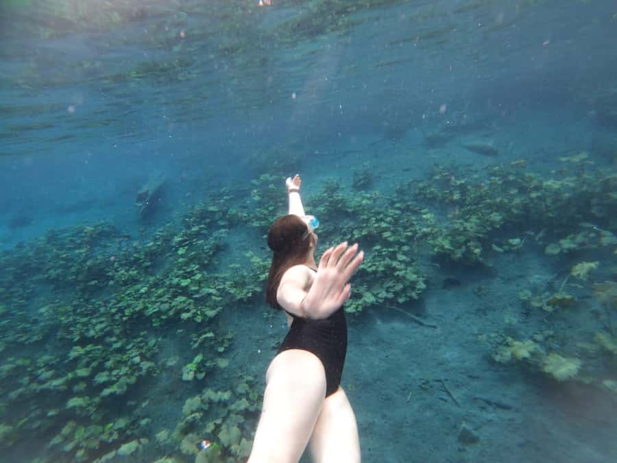 From Flores: Blue Crater private day tour - The Arroyo Pucte speedboat ride