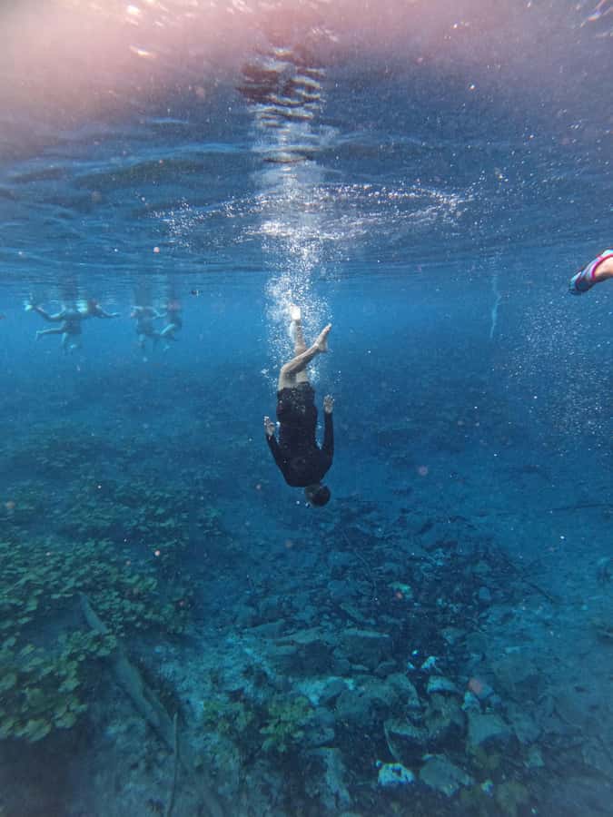 From Flores: Blue Crater private day tour - Booking details worth checking