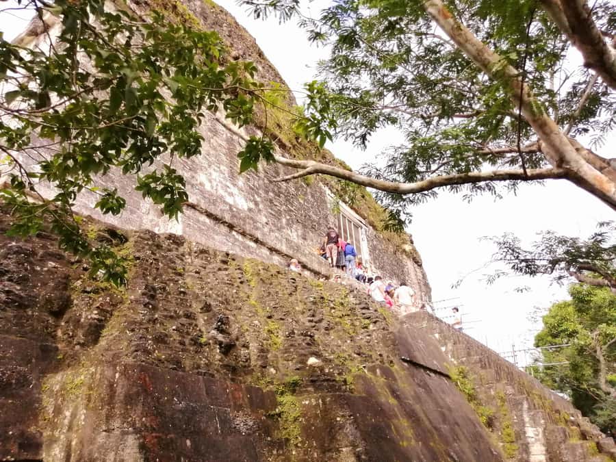 From Flores: Guided Tour to the Ruins of Tikal - Why the early Flores departure matters