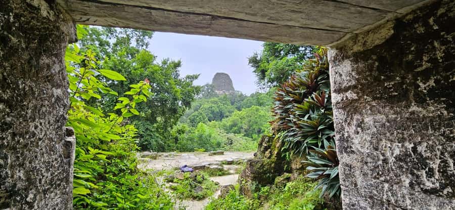 From Flores Guided Tour to Tikal with transportation + lunch - Why Tikal Needs a Guide