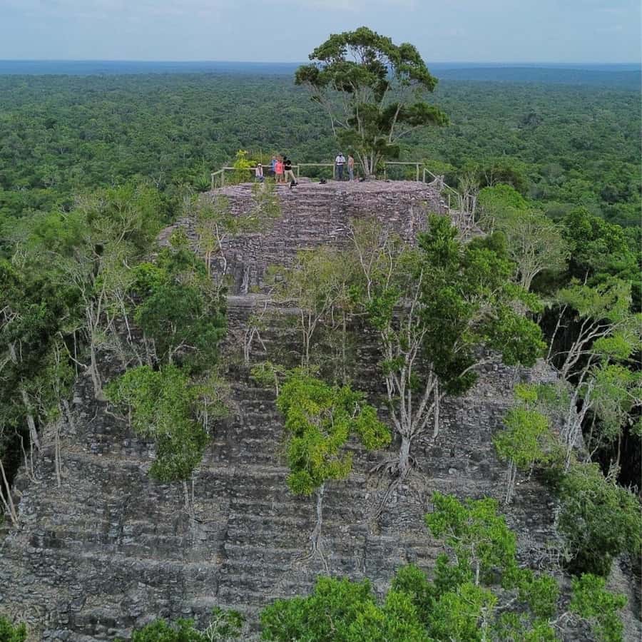 From Flores: La Danta & El Mirador Day Tour by Helicopter - La Danta, the main reason to go