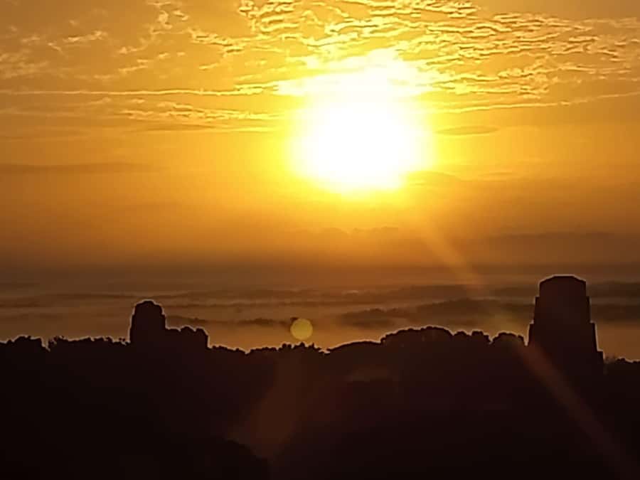 From Flores: Tikal Guided Tour with Transportation - Why This $20 Tikal Tour Offers Good Value