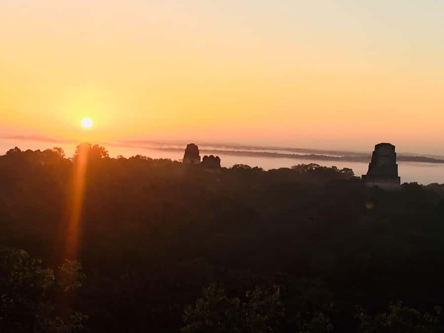From Flores: Tikal Guided Tour with Transportation - Transport, Meeting Points, and the Day’s Rhythm