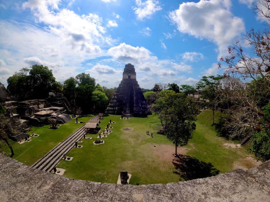 From Flores: Tikal Guided Tour with Transportation - The Guides Make the Difference