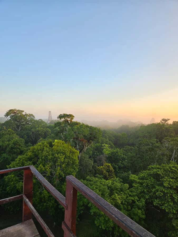 From Flores: Tikal National Park All Inclusive - Why Tikal works well as a day trip from Flores