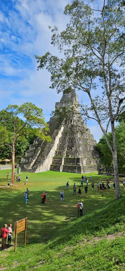 From Flores: Tikal National Park All Inclusive - Meeting the vehicle in Flores or at the airport