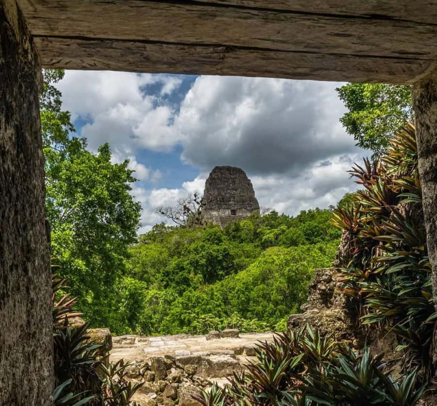 From Flores: Tikal National Park Private Day Trip with Lunch - Why This Private Tikal Trip Makes Sense