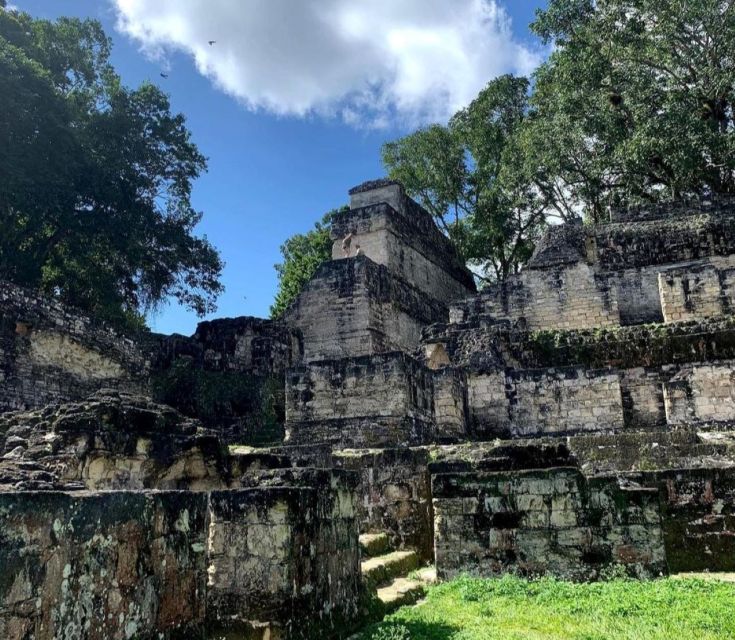 From Flores: Tikal National Park Private Day Trip with Lunch - A Four-Hour Walk Through the Park