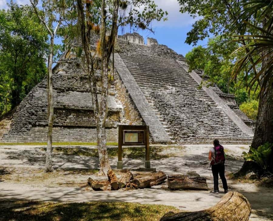 From Flores: Tikal National Park Private Day Trip with Lunch - Entering Tikal’s Central Plaza