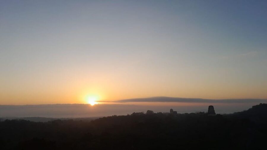 From Flores: Tikal Sunrise Archaeological Tour - Wildlife, shade, and the practical side of the walk