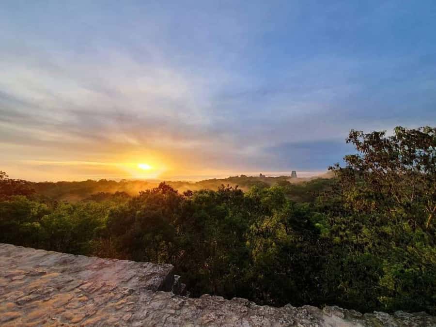 From Flores: Tikal Sunrise Extended Private Tour - Why the 3:00 am start can be worth it