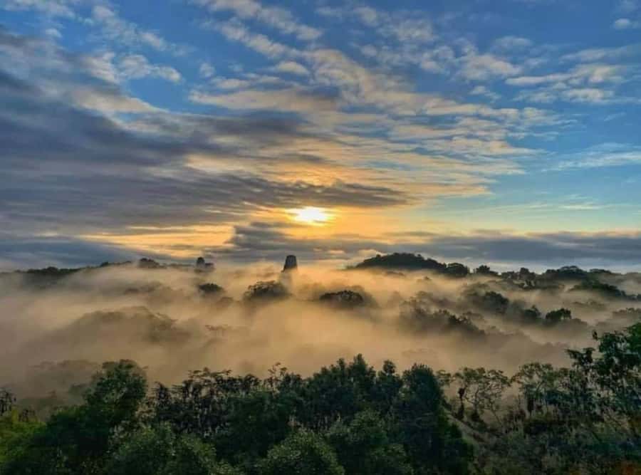 From Flores: Tikal Sunrise Extended Private Tour - Sunrise from Temple IV and the view across Tikal