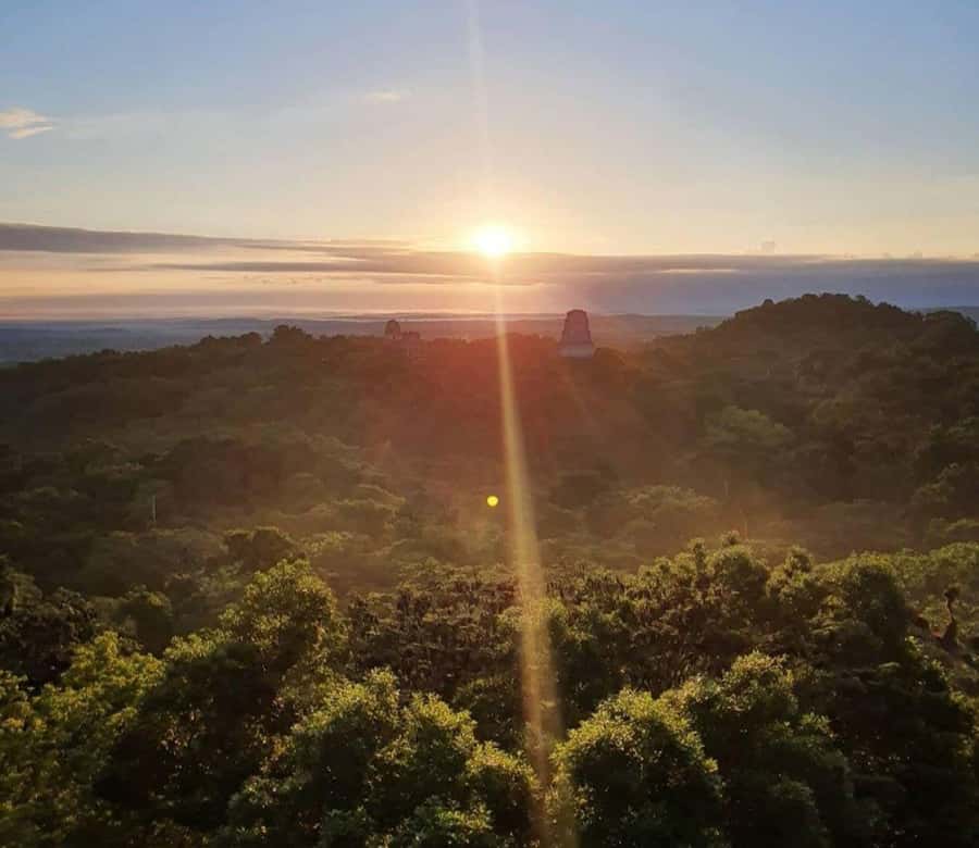 From Flores: Tikal Sunrise Extended Private Tour - The walk to Temple IV begins the real adventure