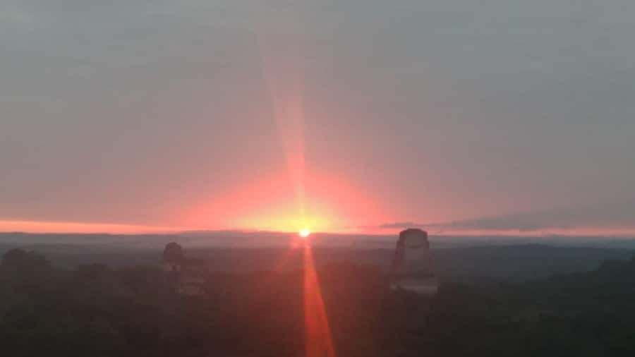 From Flores: Tikal Sunset Tour - Watch for monkeys, toucans, and forest life