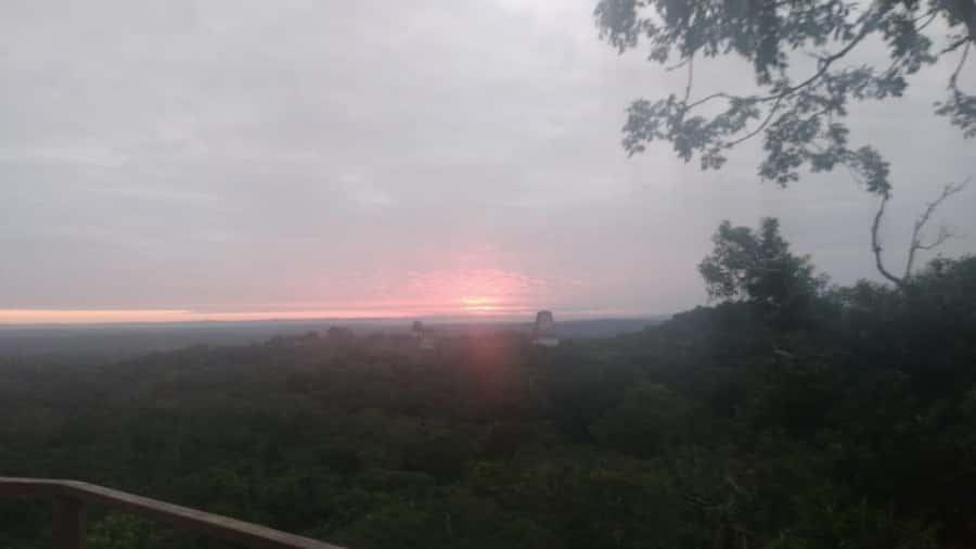 From Flores: Tikal Sunset Tour - The guides are the heart of the experience