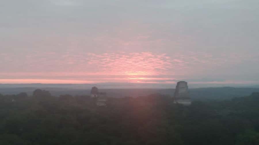 From Flores: Tikal Sunset Tour - The Visitor Center gives you a useful reset