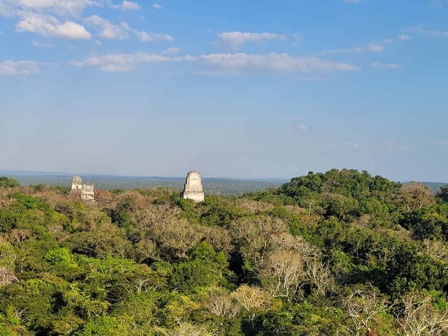 From Flores: Tikal VIP Exclusive cultural Tour All inclusive - The major temples and the climb