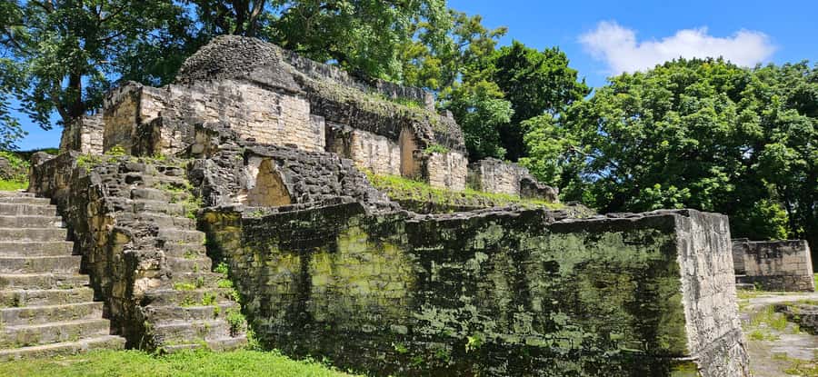 From Flores: Tour Tikal All Inclusive - The 90-minute road to Tikal