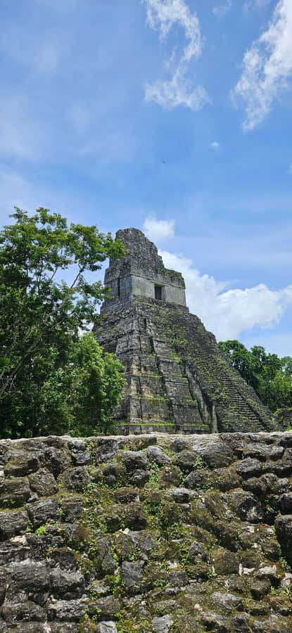 From Flores: Tour Tikal All Inclusive - Meeting the group at 7:30 am
