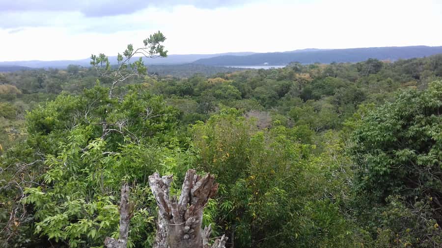 From Flores: Yaxha Ruins Guided Tour - Meeting at YO AMO PETEN in Flores
