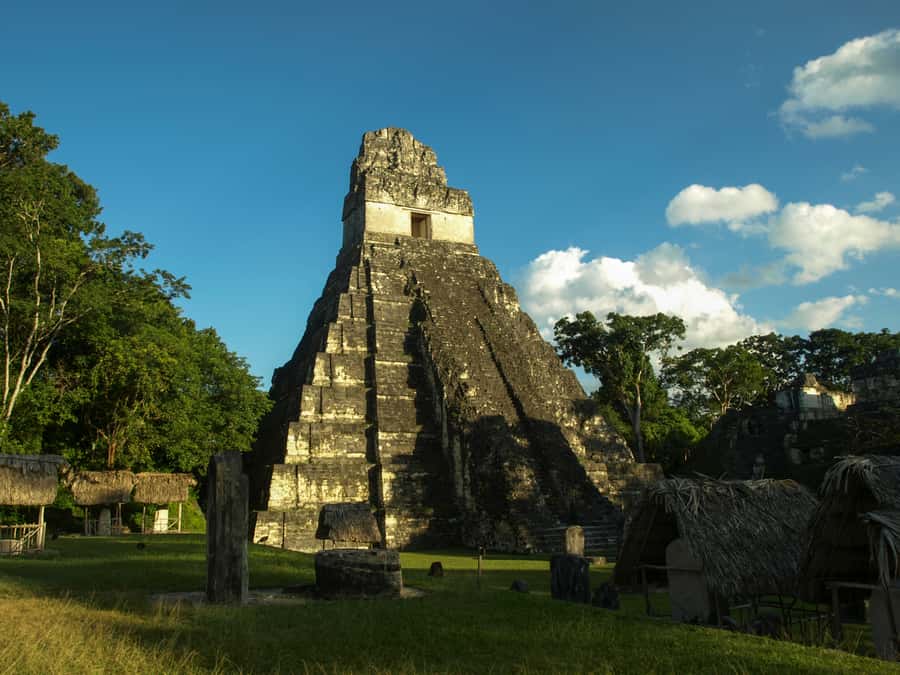 From San Ignacio: Tikal Maya Site Day-Trip with Local Lunch - Who should book this Tikal day trip?