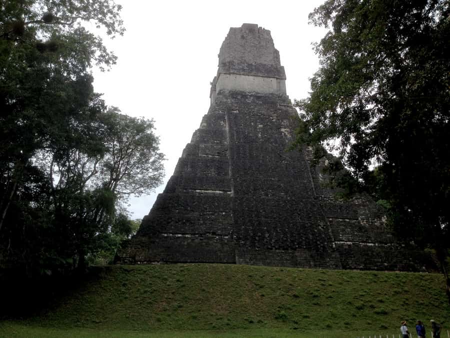 From San Ignacio: Tikal Maya Site Day-Trip with Local Lunch - Inside Tikal with a local guide