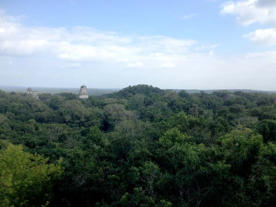 From San Ignacio: Tikal Maya Site Day-Trip with Local Lunch - The local lunch after the ruins