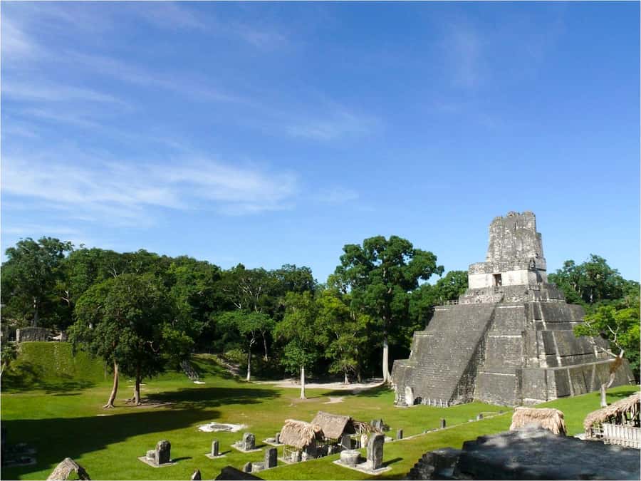 From San Ignacio: Tikal Maya Site Day-Trip with Local Lunch - What the $145 price really buys you