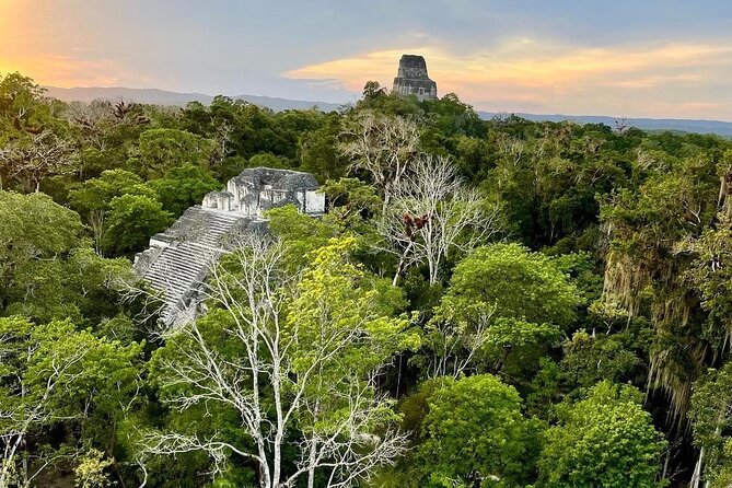 Full-Day Shared Tour to Tikal from Flores Peten with Lunch - Four hours among pyramids, temples, and jungle paths