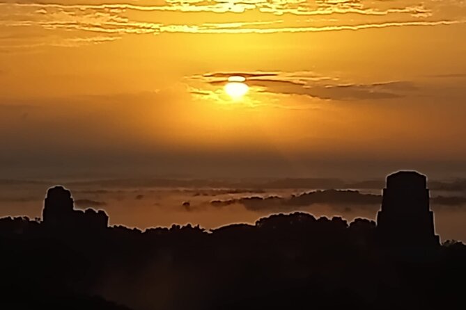 Full Day Tikal Sunrise Tour from Flores and Archaeological Tour - Wildlife along the jungle trails