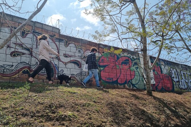Graffiti Walking Tour in 4 Grados Norte Guatemala City - Is $35 a fair price?