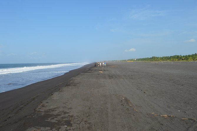Guatemala San Jose Beach Private Tour - Puerto de San Jose and the black volcanic sand