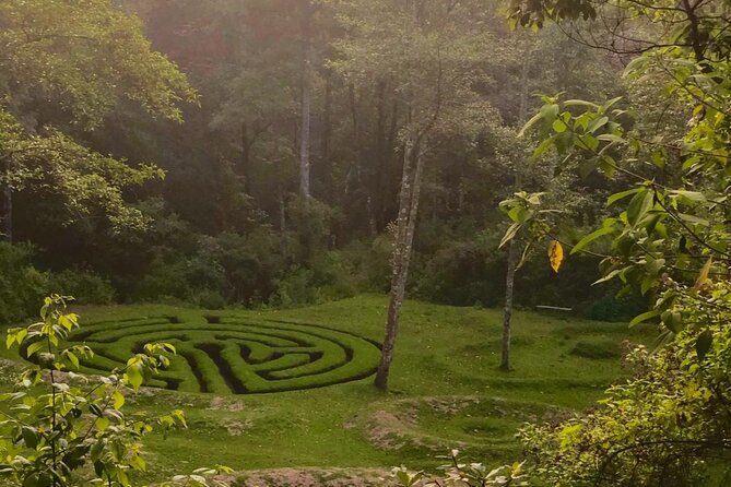 Hike in pristine Forest, a view from above Atitlan - Key points to know before booking