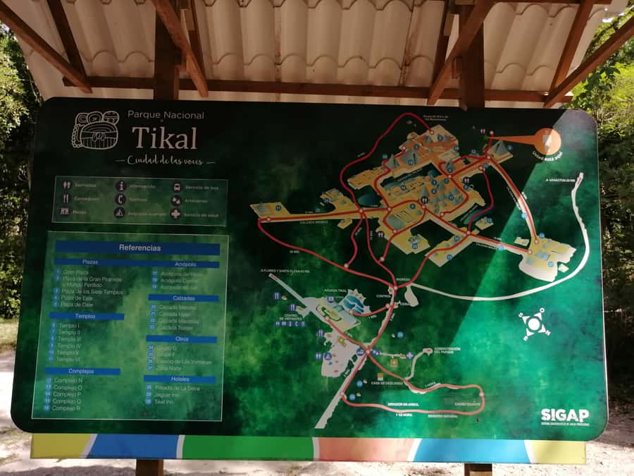 Impressive Tikal from Flores with Lunch - Walking through Tikal’s great ceremonial center