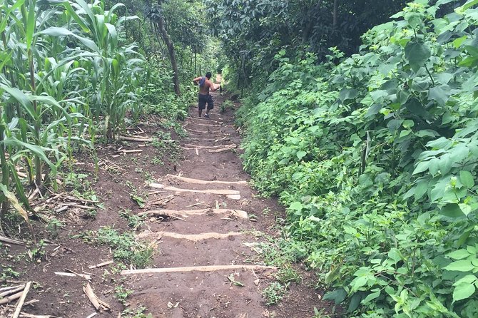 Indian Nose Peak and Lake Atitlan Sunrise Tour from Panajachel - How much value do you get for $133.95?