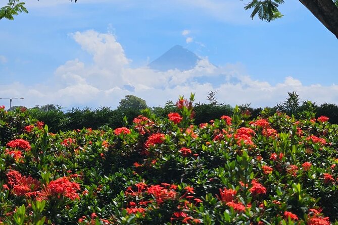 Lake Atitlan - Group size, pace, and physical demands