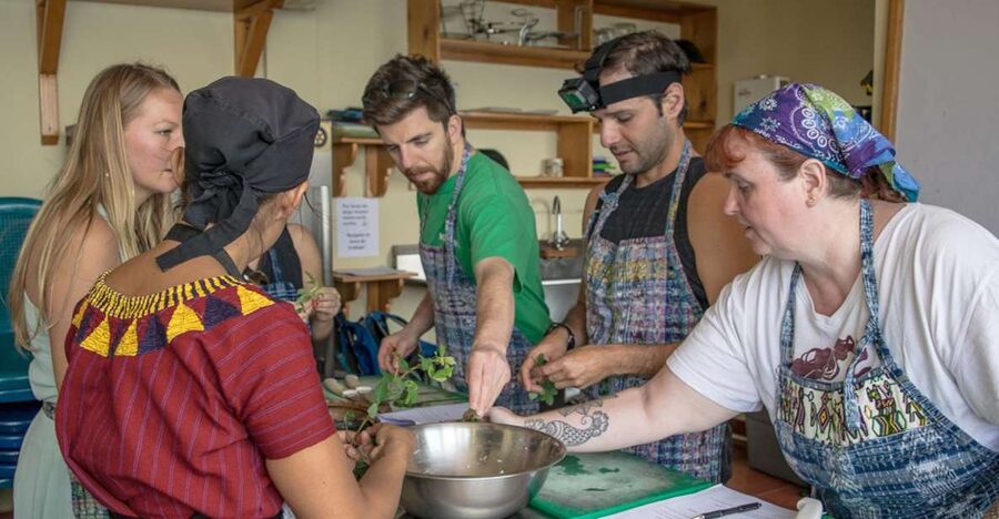 Lake Atitlan Maya Kitchen: 3-Hour Cooking Class - Small Drawbacks to Keep in Mind
