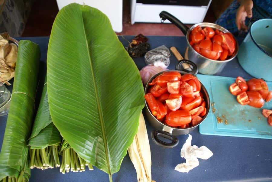 Lake Atitlan Maya Kitchen: 3-Hour Cooking Class - Getting to Santa Cruz La Laguna