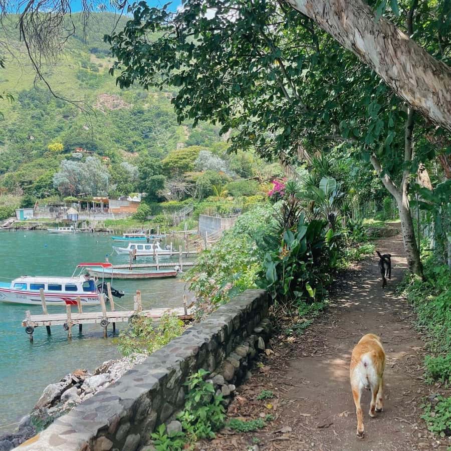 Lake Atitlan Walking Tour in 4 Different Towns - Tzununá: a quieter stop beside the water