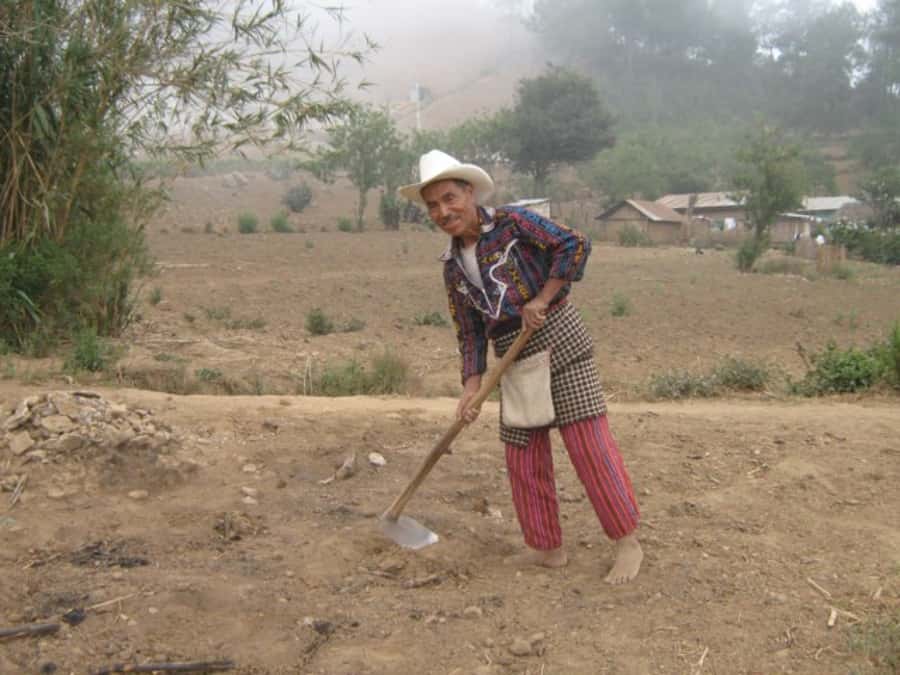 Lower Mayan Trail: San Marcos to Santa Cruz 4-Hour Hike - Village life among corn and coffee fields